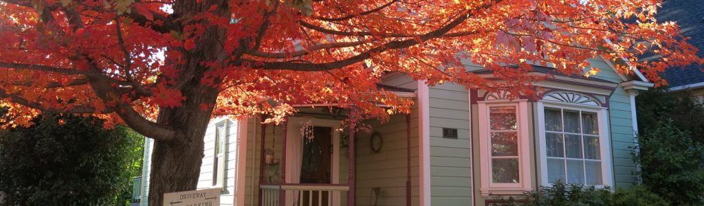 Front view of a home's porch with tree in the foreground in autumn
